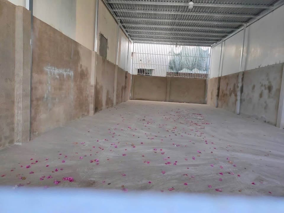 Lô đất mặt tiền Phạm Ngọc Thạch, Vĩnh Hải 99.8m² giá 11 tỷ - Đầu tư sinh lời lý tưởng!