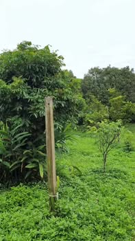 Đất nền Hóa Thượng, Đồng Hỷ 1000m² giá chỉ 100 triệu - Sẵn sàng đầu tư!