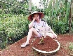 Đất nền khu phố Phong Lục Tây, An Thắng, Đà Nẵng 163m² giá 1.4 tỷ - Tiềm năng đầu tư vượt trội!