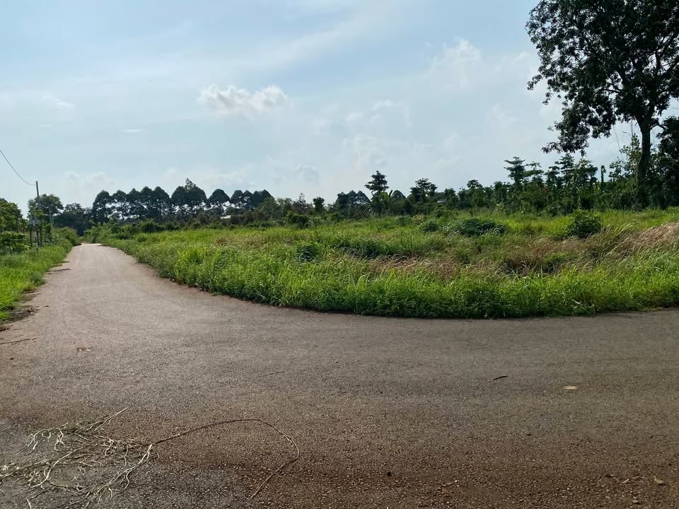 Đất thổ cư Bàu Chinh 420m² giá 1.15 tỷ - Khu dân cư sầm uất!