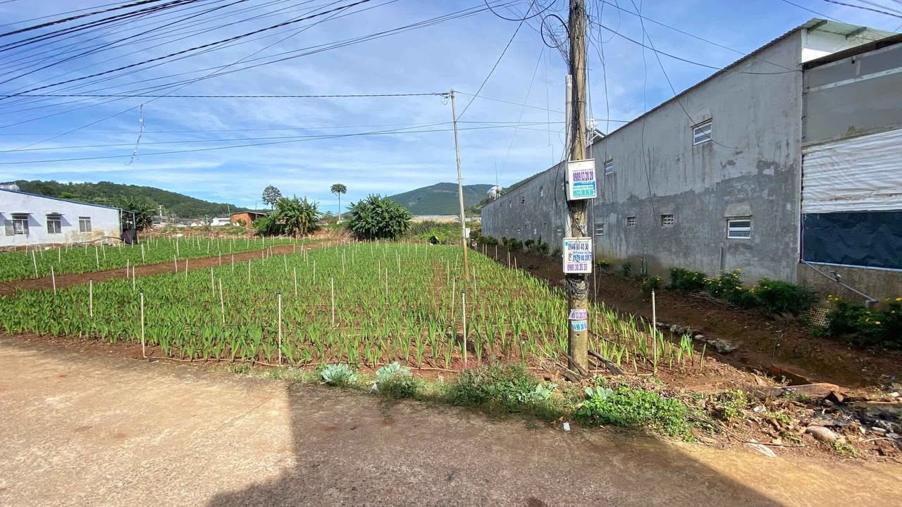 Đất nền Hiệp Thạnh, Đức Trọng, 332.5m² giá 2.66 tỷ - Cơ hội đầu tư tuyệt vời!