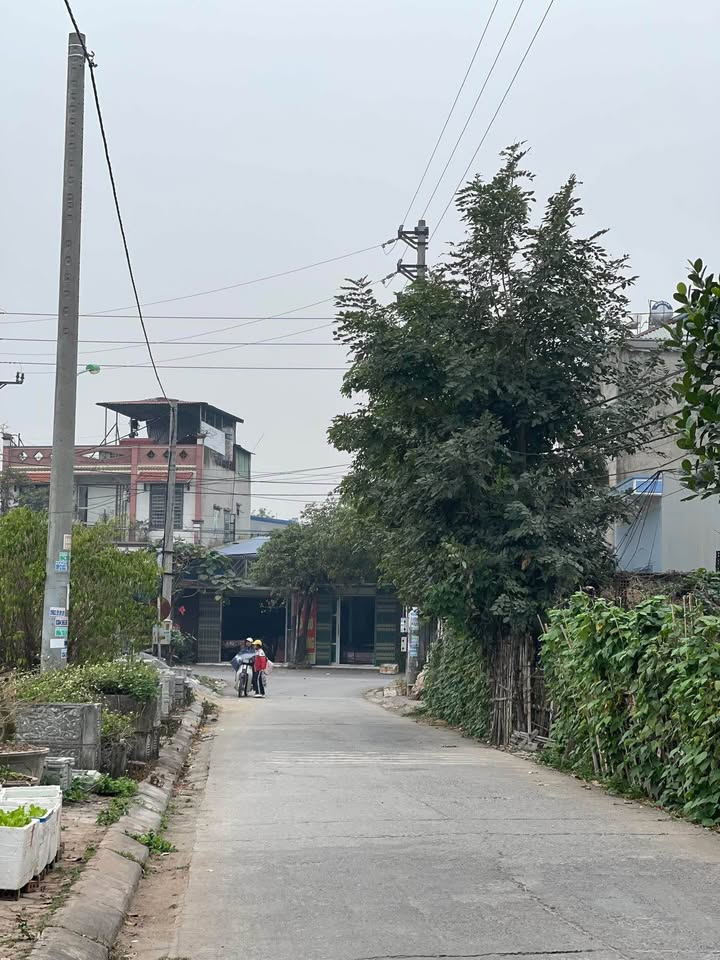 Đất phân lô Nam Vân 65m² giá chỉ 1xxx - Vỉa hè rộng thoáng mát!