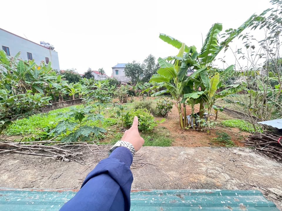 Đất chính chủ Thôn Đồng Lạc, Tiên Dược, Sóc Sơn 319m² giá chỉ 18 triệu - Vị trí đắc địa!