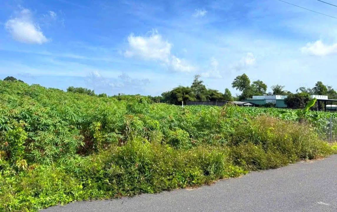 Đất vườn Phước Long Thọ 1011m² chỉ 1 tỷ - Đầu tư sinh lời ngay!