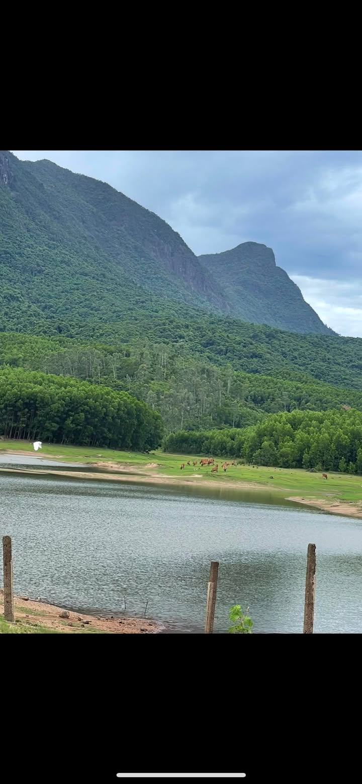 Nhà cho thuê 1 phòng ngủ tại Vĩnh Lộc A, Bình Chánh - Giá chỉ 3 triệu/tháng!