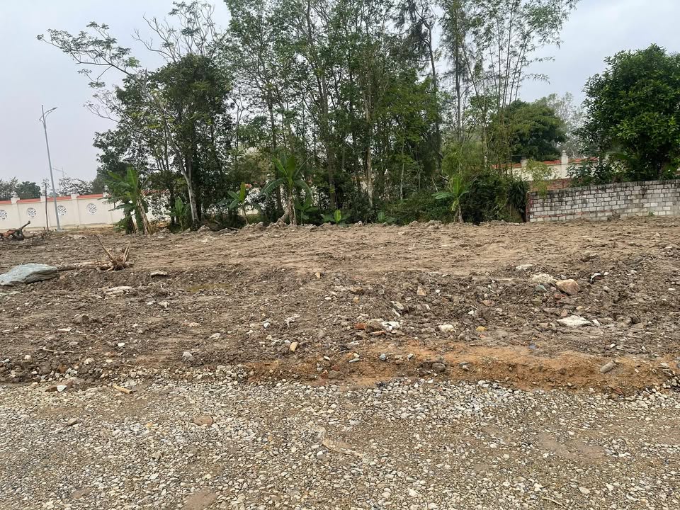 Đất nền chính chủ tại thôn Tiền Thôn, Hoằng Tiến, 115m² - Giá tốt, pháp lý rõ ràng!