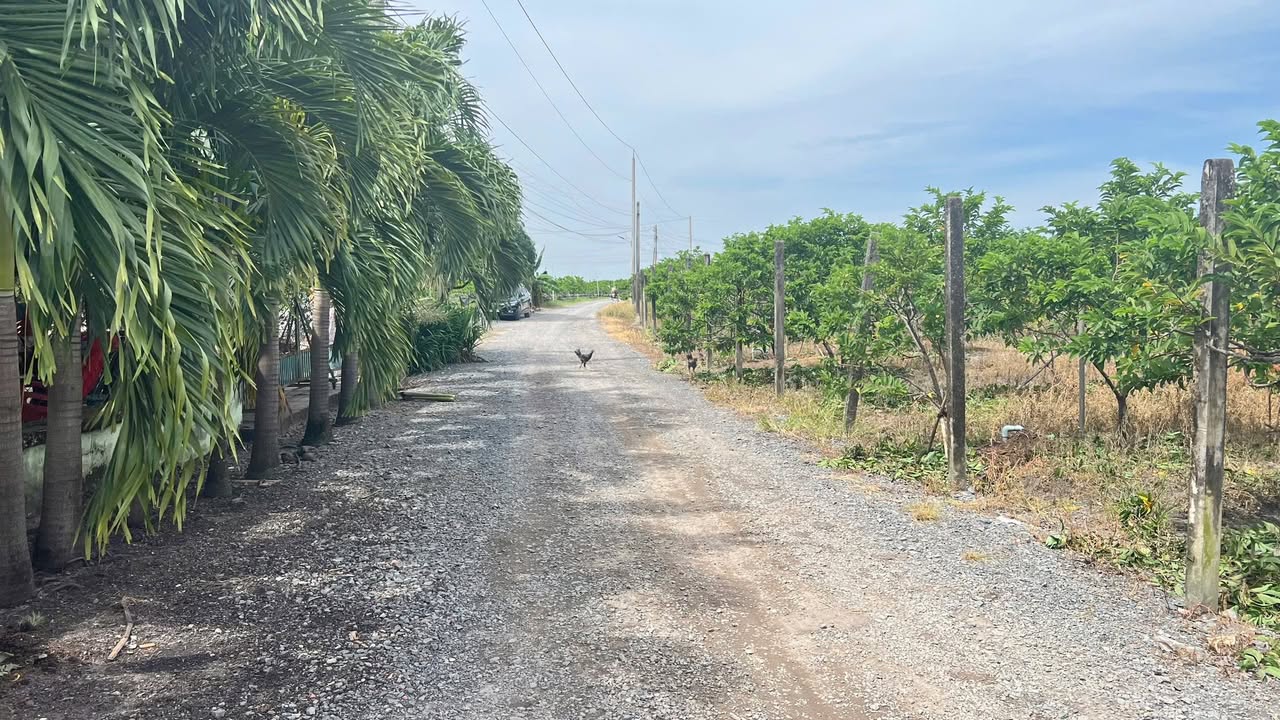 Đất nền Suối Đá, Dương Minh Châu 215m² giá 300 triệu - Sổ đỏ chính chủ, view núi tuyệt đẹp!