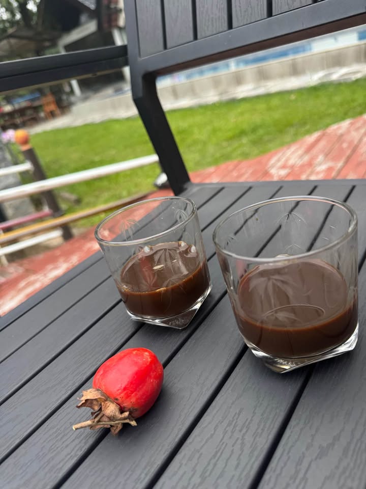 Đất nền Dương Sơn, Hòa Châu 300m² - Giá đầu tư hấp dẫn!