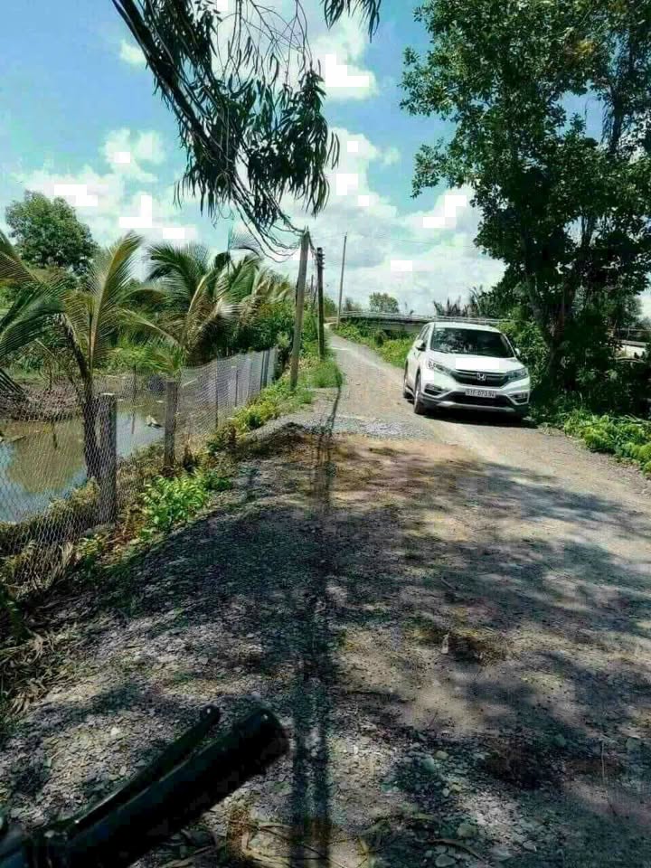 Đất nền 1050m² tại Bình Đức, Bến Lức chỉ 1.55 tỷ - Cơ hội đầu tư không thể bỏ lỡ!