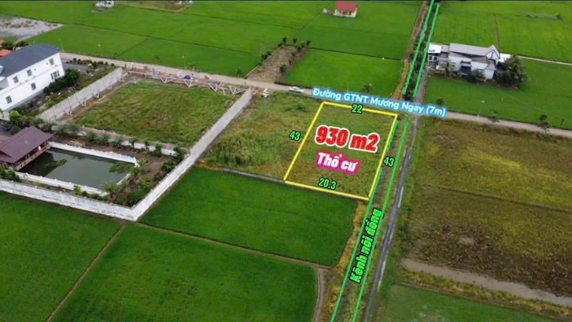Đất thổ cư 930m² mặt tiền đường GTNT Cần Đước - Giá 3.8 tỷ thương lượng!