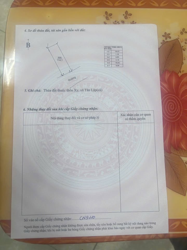 Đất nền Tân Lập Đan Phượng 114m² giá 1.1 tỷ - Cơ hội đầu tư hiếm có!