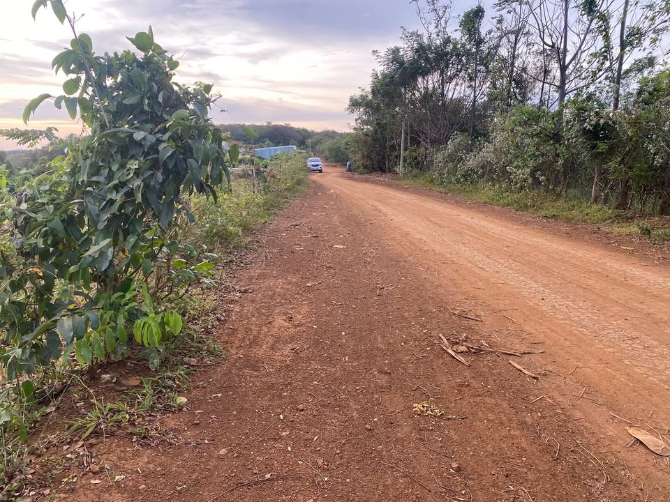 Đất thổ cư Thọ Sơn Bù Đăng 80m² giá 1.7 tỷ - Đường lớn, xây dựng ngay!