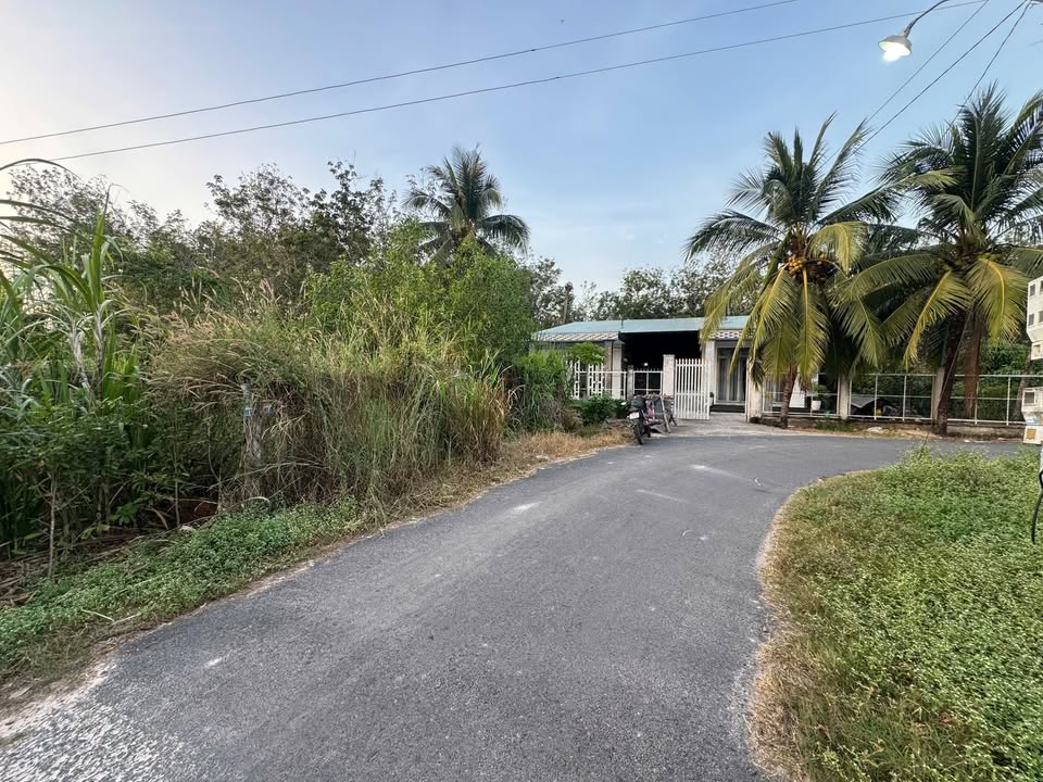 Đất mặt tiền đường nhựa An Bình 145m² giá 390 triệu - Gần trường học, thương lượng ngay!