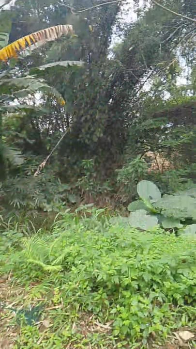 Đất thổ cư Duy Châu, Duy Xuyên 287m² giá 700 triệu - Sổ hồng trao tay!