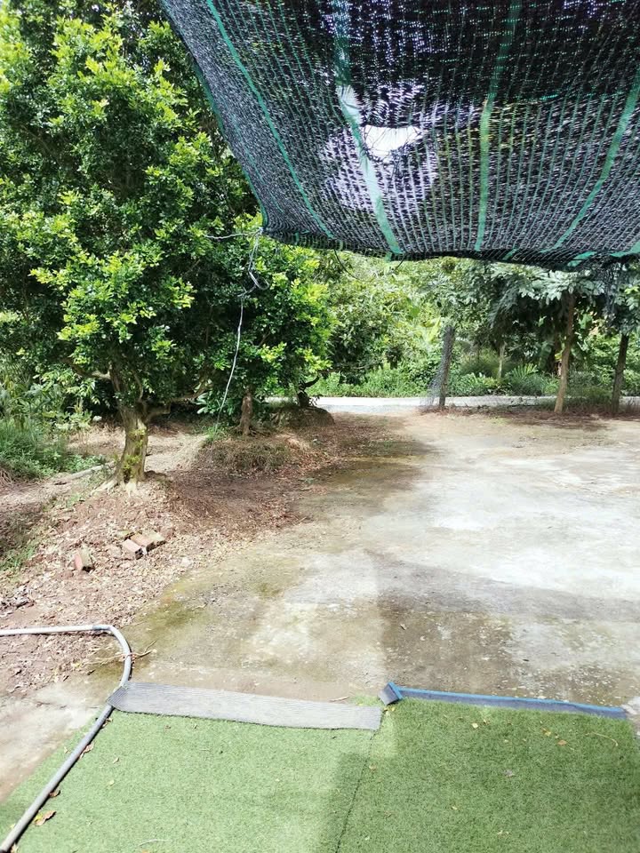 Đất Tiên Thủy 1915m² giá 1.6 tỷ - Đất vuông vức, sổ đỏ chính chủ!