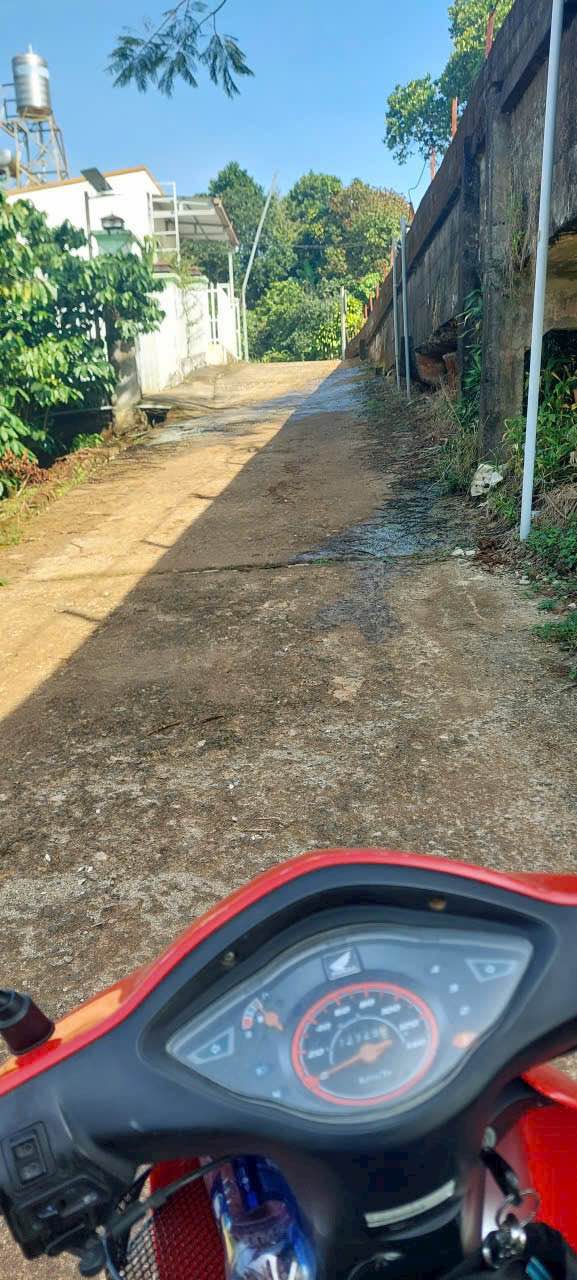 Đất trồng cây ăn trái 2147m² hẻm Vũ Trọng Phụng, Bảo Lộc - Giá chỉ 687 triệu!