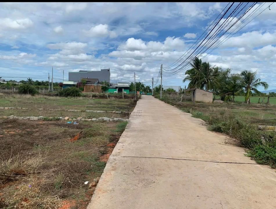 Đất thổ cư Phong Nẫm 100m² giá 750 triệu - Sổ hồng đầy đủ, vị trí thuận lợi!