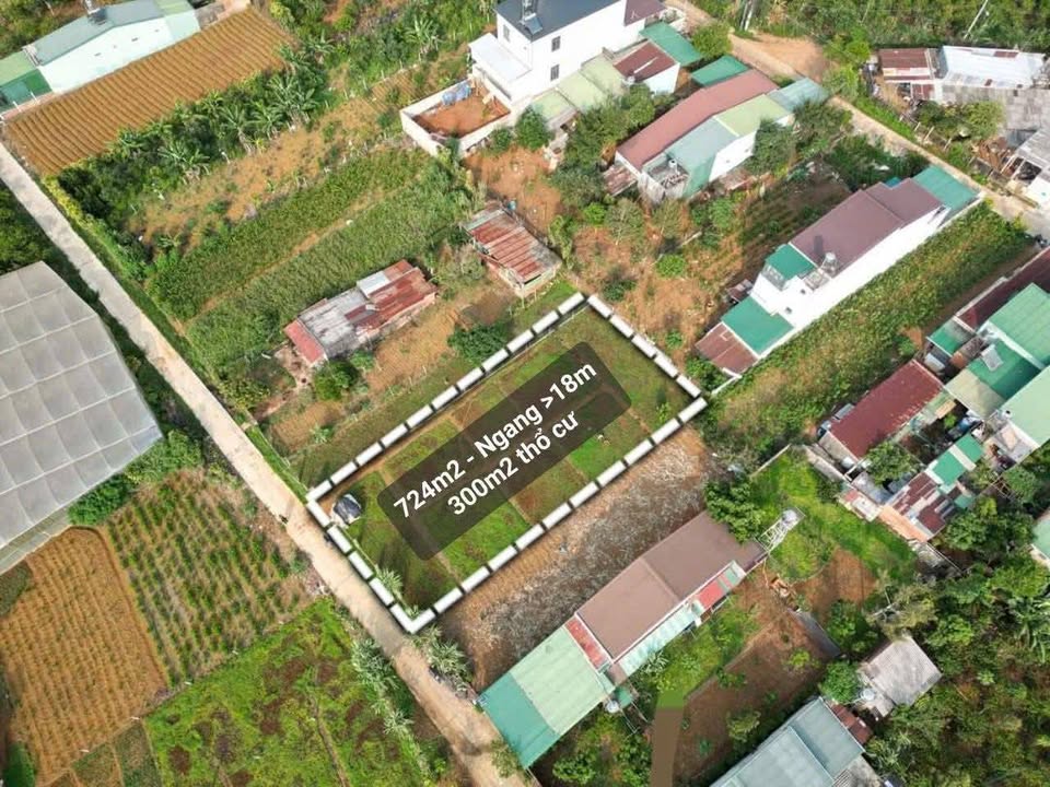 Đất Hẻm 111 Lý Thái Tổ, Bảo Lộc 724m² giá 4,3 tỷ - Hạ giá nhanh!