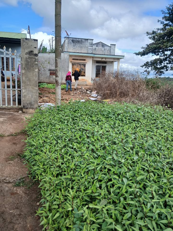 Đất thổ cư 550m² mặt đường Quốc lộ 14 - Giá chỉ 1.5 tỷ