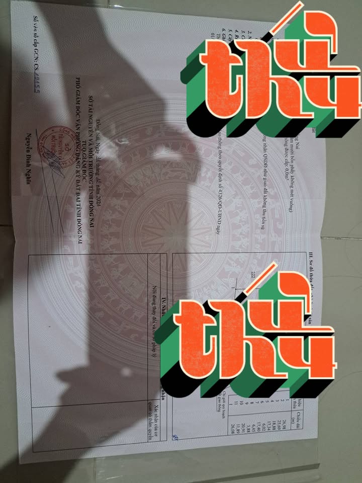 Đất nền Vĩnh An 156m² giá 299 triệu - Cơ hội đầu tư tuyệt vời!