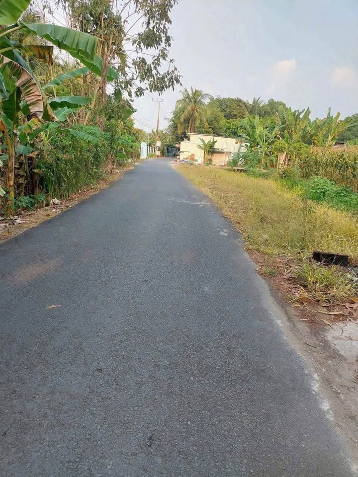 Đất mặt tiền đường Nguyễn Viết Xuân, Bình Thủy 1164m² - Pháp lý rõ ràng, giá tốt!