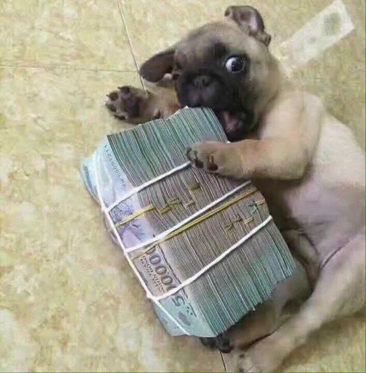 Đất nền Long Định, Cần Đước, Long An 140m² giá 550 triệu - Cơ hội đầu tư hấp dẫn!