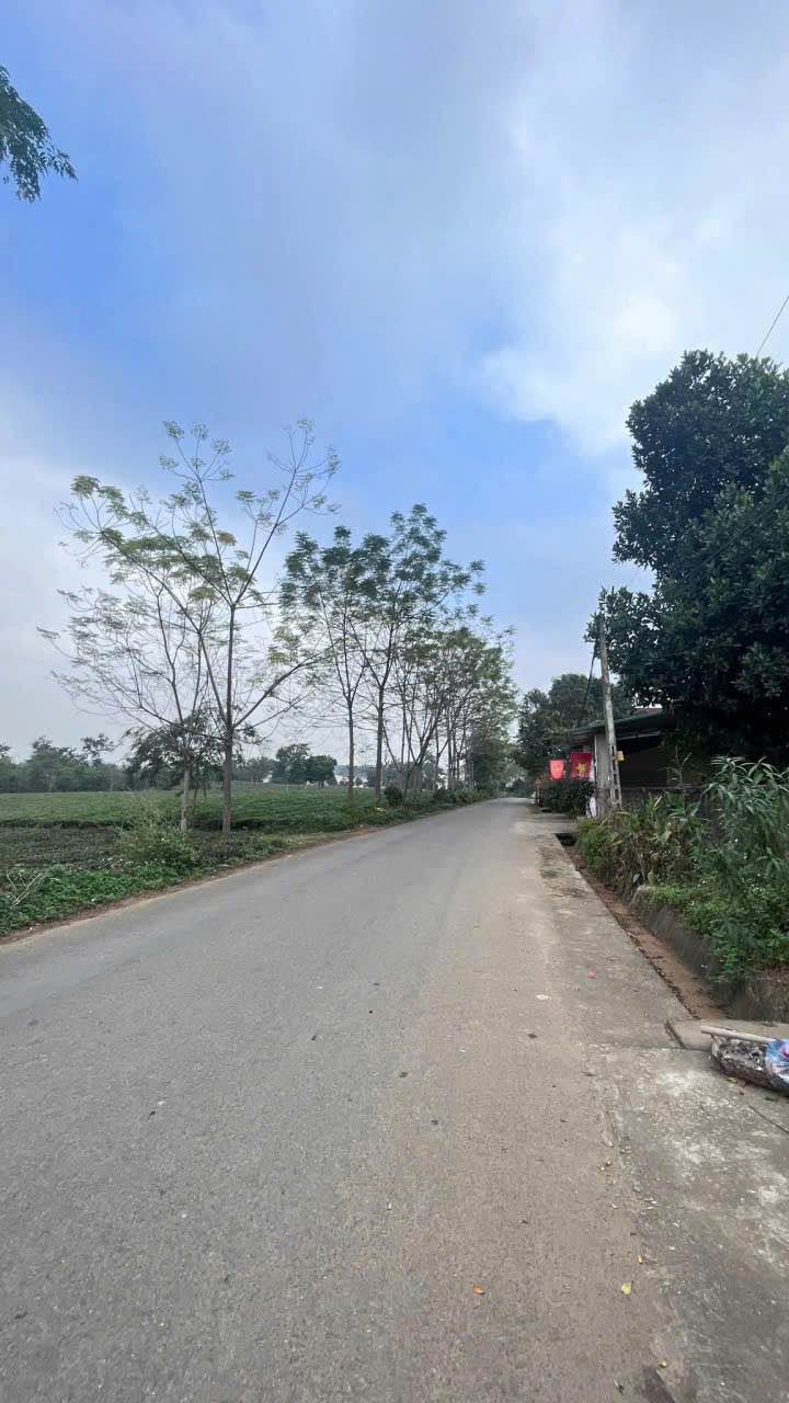 Nhà 2 tầng 2 mặt tiền tại An Tường, Tuyên Quang diện tích 80m² giá 3 tỷ - Đầu tư sinh lời ngay!