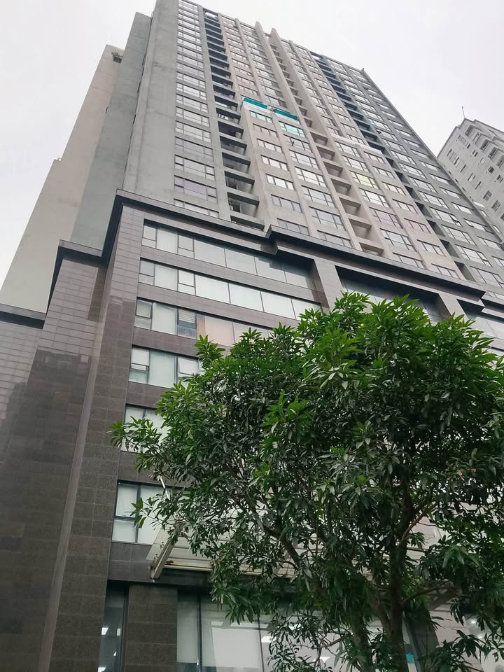 Duplex Láng Hạ 350m² giá 33 tỷ - Siêu hiếm, siêu đẹp!