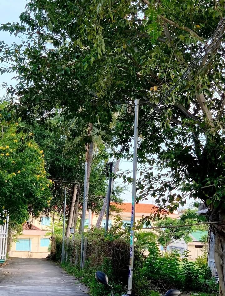 Dãy trọ Cam Lộc Cam Ranh 220m² giá 3 tỷ - Đầu tư sinh lời ổn định!