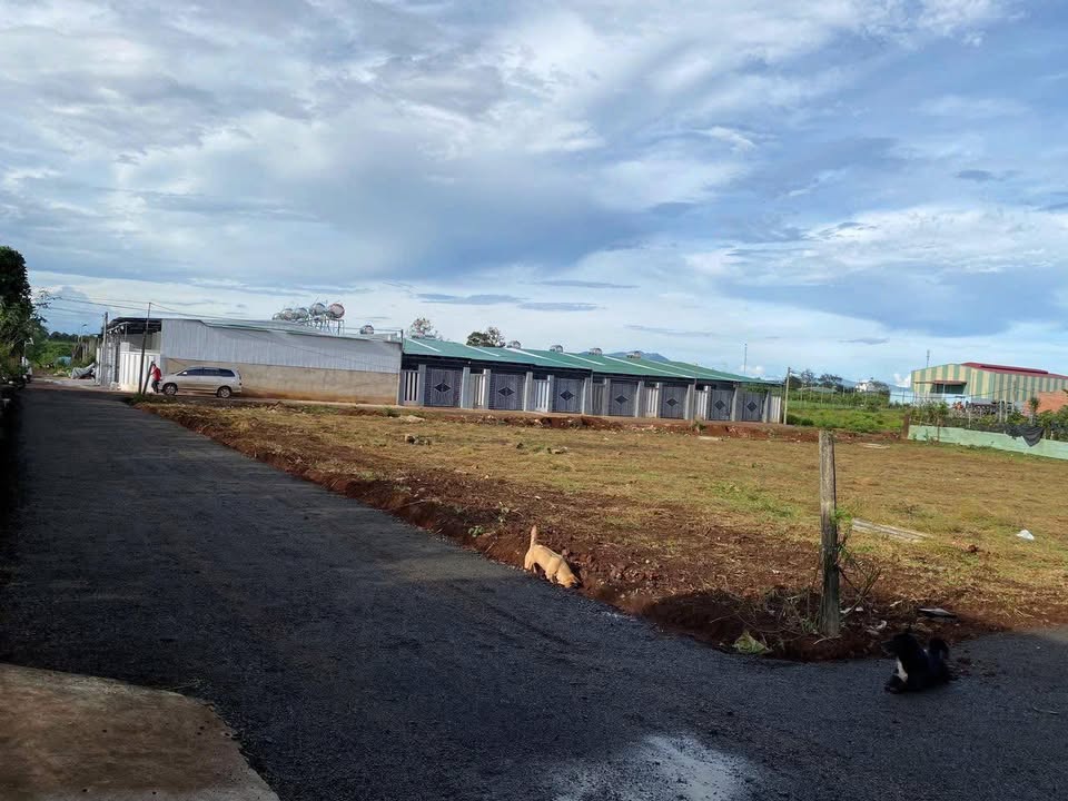 Đất nền hẻm 46 Nguyễn Kiệm, 90m² - Giá thỏa thuận, tiện kinh doanh