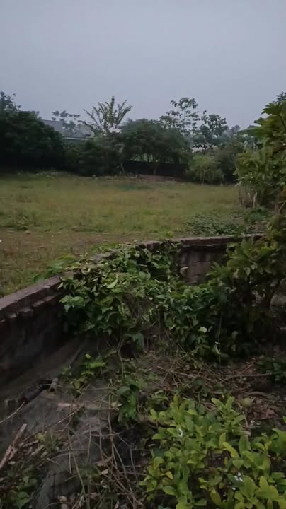 Đất thổ cư 1300m² tại Tu Vũ, Thanh Thủy - Sổ đỏ chính chủ, giá thỏa thuận!