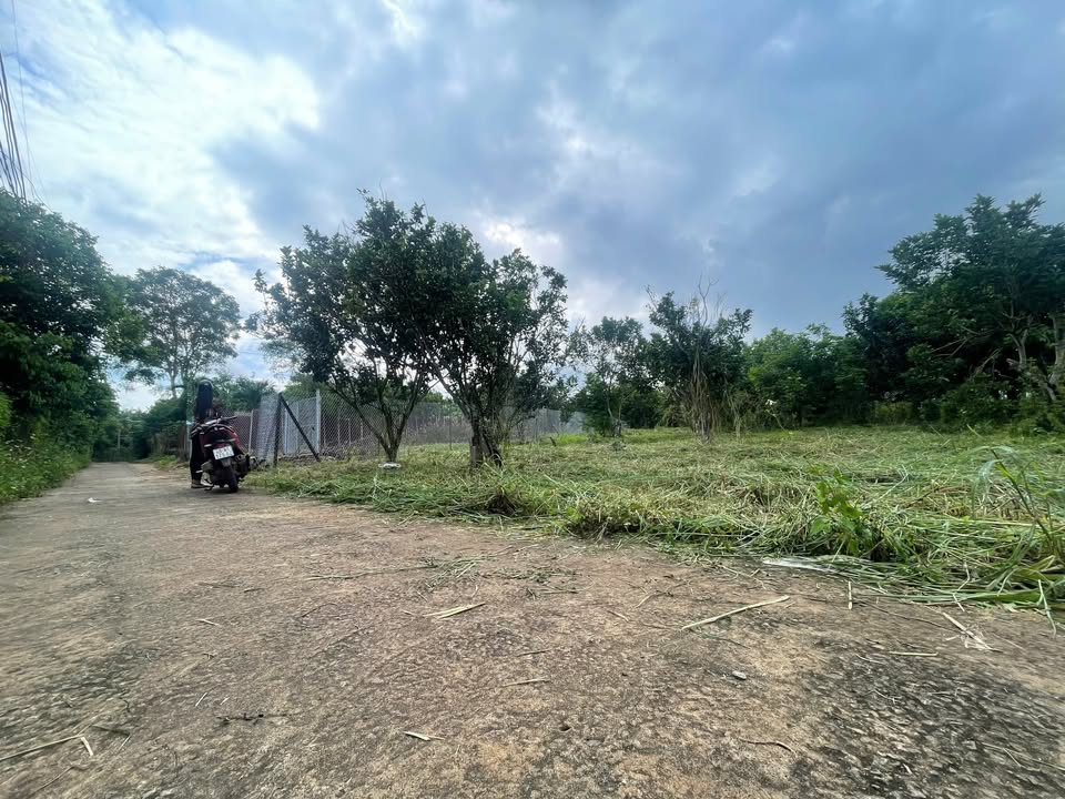 Đất thổ cư 500m² tại Bảo Vinh, Long Khánh - Giá 1.4 tỷ, cơ hội đầu tư tuyệt vời!