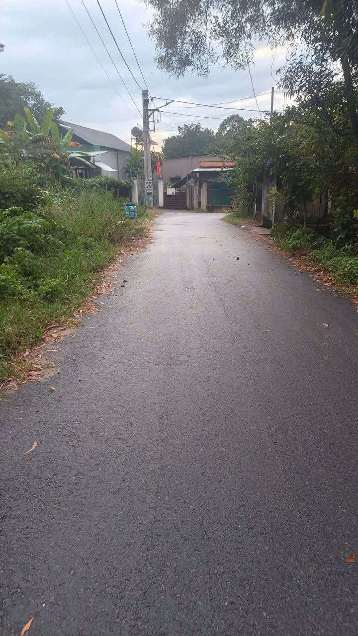 Đất Thới Hòa Bến Cát 168m² giá chỉ 1.5 tỷ - Sổ đỏ chính chủ, mặt tiền đường nhựa!