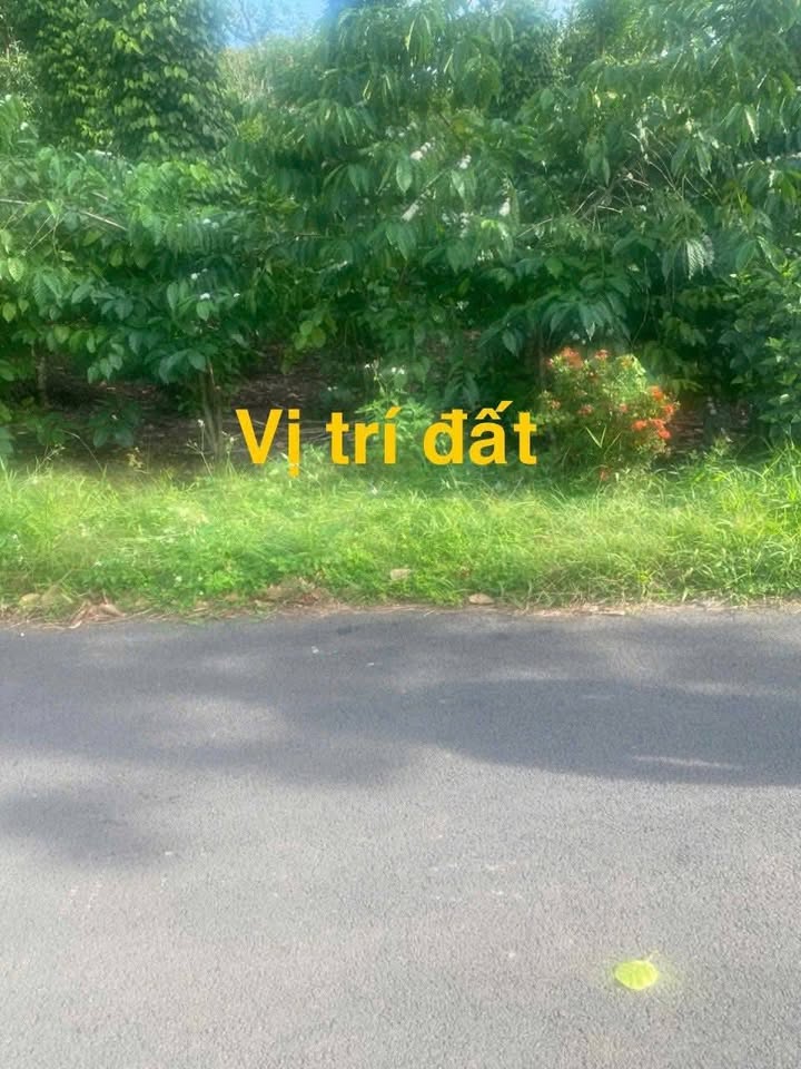 Đất nền đường nhựa Phú Tân, Định Quán 180m² giá 450 triệu - Sổ hồng riêng, bớt lộc