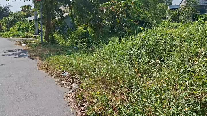 Đất vườn 504m² mặt tiền đường Bùi Văn Sự, Bình Chánh chỉ 2.8 tỷ - Đầu tư sinh lời ngay!