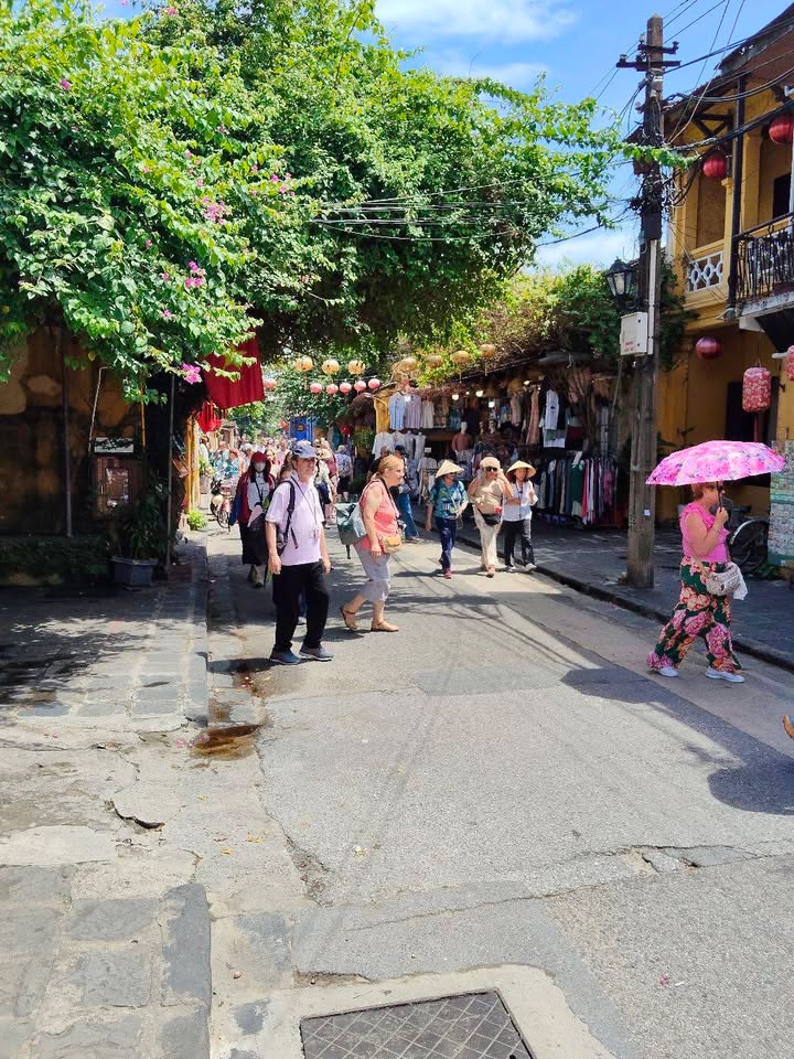 Nhà phố Trần Phú, Hội An 296m² giá 115 tỷ - Tiềm năng đầu tư lớn!