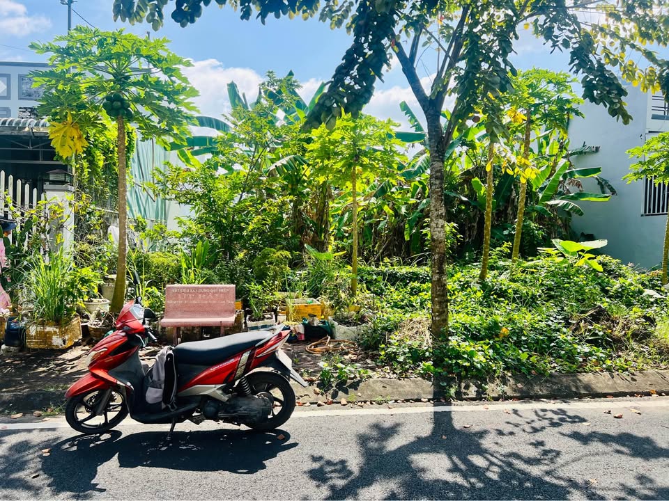 Đất nền mặt tiền đường Nam Cao, phường An Xuyên, Cà Mau - 270m², giá 3.7 tỷ - Đầu tư sinh lời ngay!