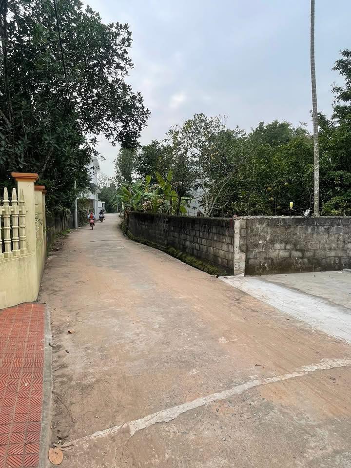 Đất nền Chính Lý - Lý Nhân 175m² giá 900 triệu - Cơ hội đầu tư hấp dẫn!