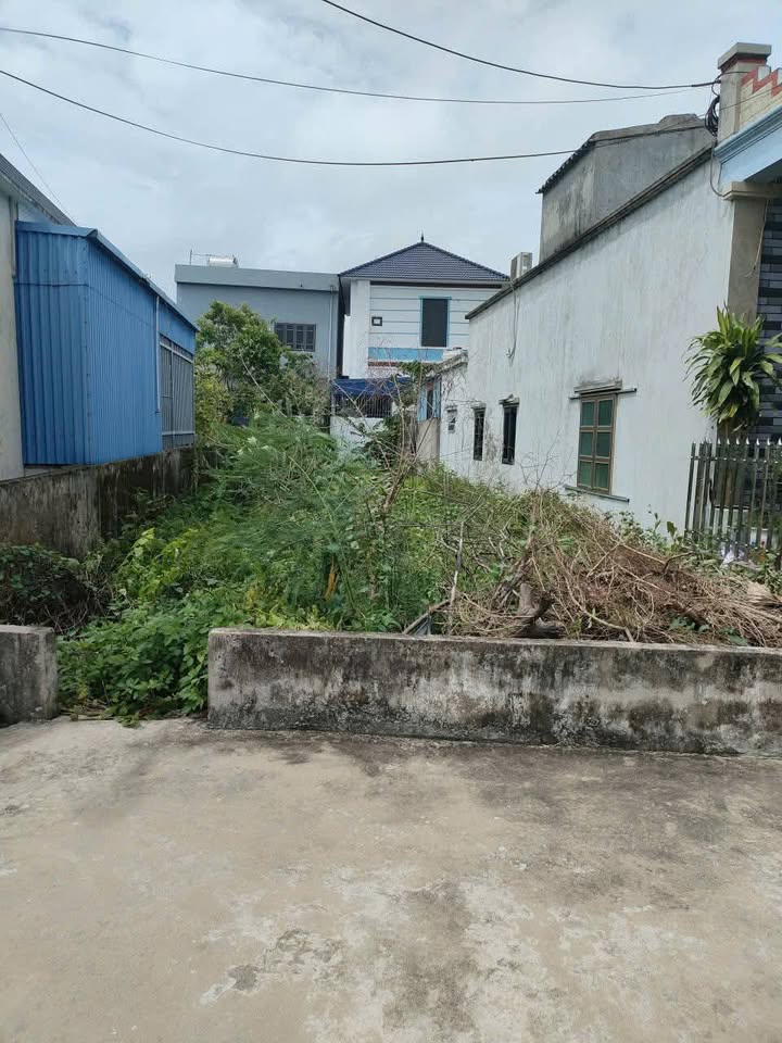 Đất nền Bạch Long, Giao Thủy 180m² giá 1.6 tỷ - Mặt tiền 6m, vị trí đắc địa!