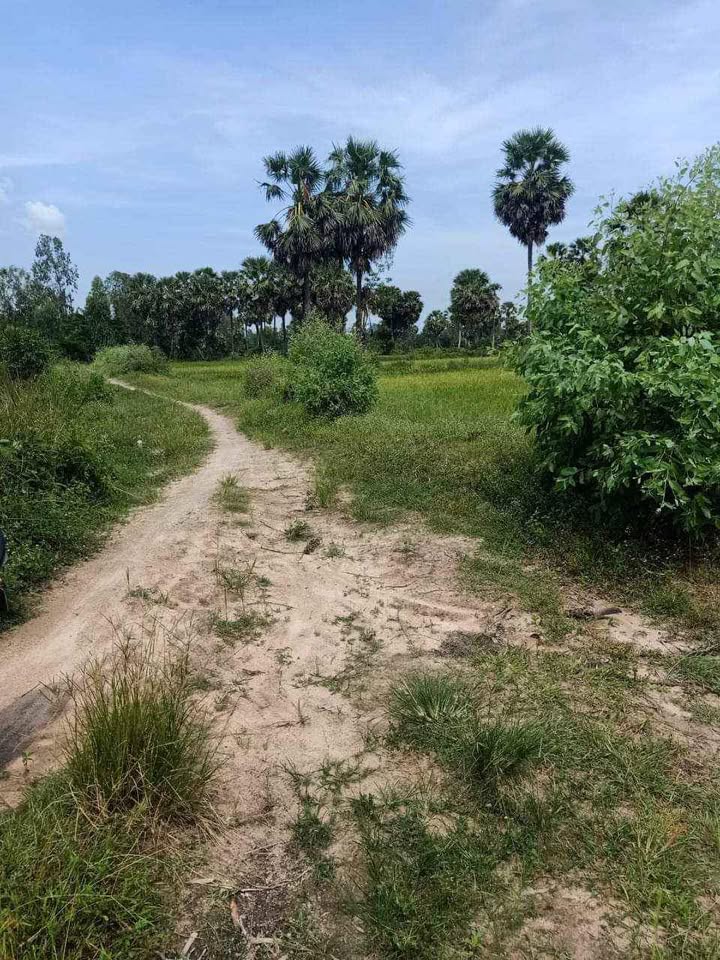 Đất nông nghiệp xã Văn Giáo, huyện Tịnh Biên, 80.000m² giá 10.4 tỷ - Đường xe ô tô vào tận nơi!