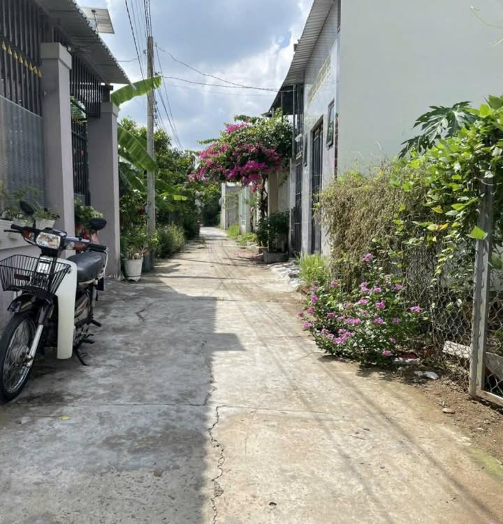 Đất nền Phú Khương, Bến Tre 90m² giá chỉ 320 triệu - Cơ hội đầu tư tuyệt vời!