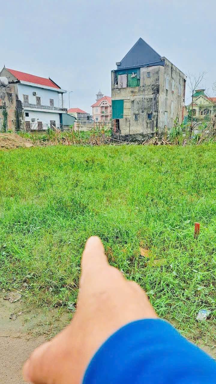 Đất mặt đường Hồng Liễu, Nghi Kim 113,6m² - Gần trường Quốc tế, cơ hội đầu tư lớn!