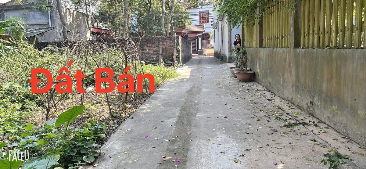 Lô đất Cao Đại - Vĩnh Tường 96m² giá 1.1 tỷ - Đầu tư sinh lời ngay!