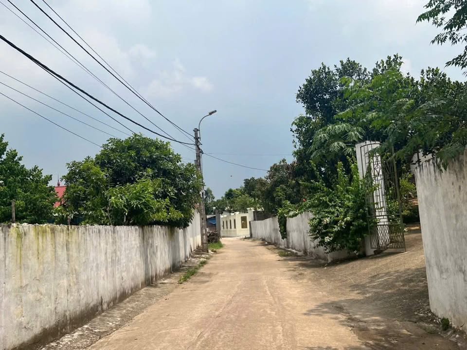 Nhà bán tại TDP Bảo Chúc, Hợp Hoà, Tam Dương - Diện tích 1500m² - Giá 4 tỷ