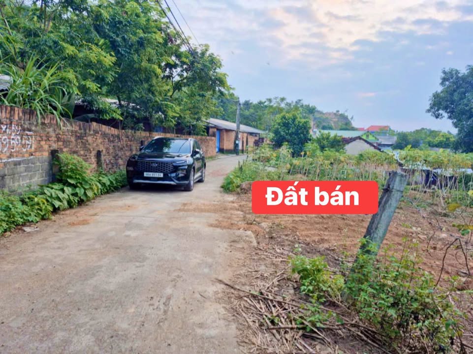 Đất thổ cư An Hòa Tam Dương 138m² giá 500 triệu - Mặt tiền đẹp lý tưởng!