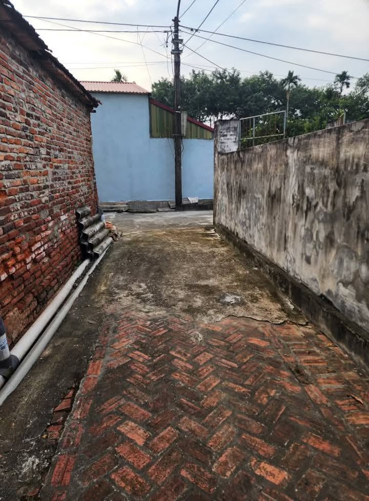 Đất nền Tam Hồng, Vĩnh Phúc 115m² giá chỉ 1.25 tỷ - Cơ hội đầu tư tuyệt vời!