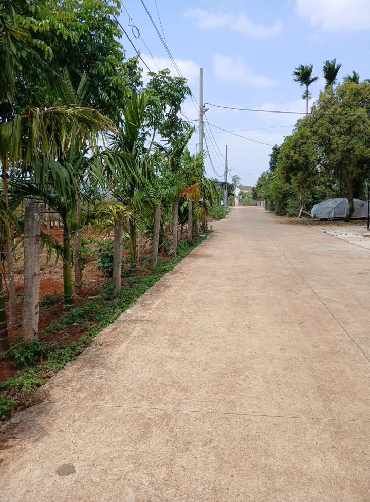 Đất nền Cư Suê, Cư M'gar 250m² giá 2.7 tỷ - Đường bê tông ô tô né nhau!