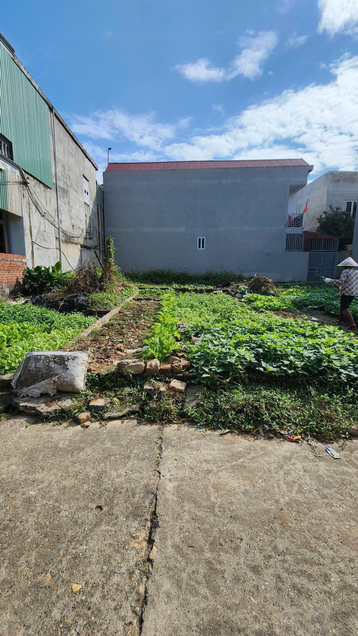 Đất nền Quang Tiến, Sóc Sơn 40m² giá 1.7 tỷ - Đường ô tô vào tận nơi!