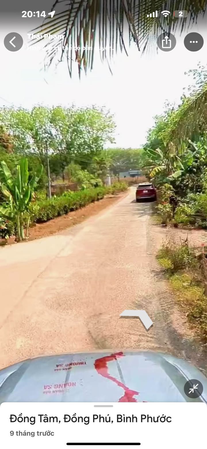 Đất mặt tiền Đồng Tâm 6000m² giá 700 triệu - Đầu tư sinh lời ngay!