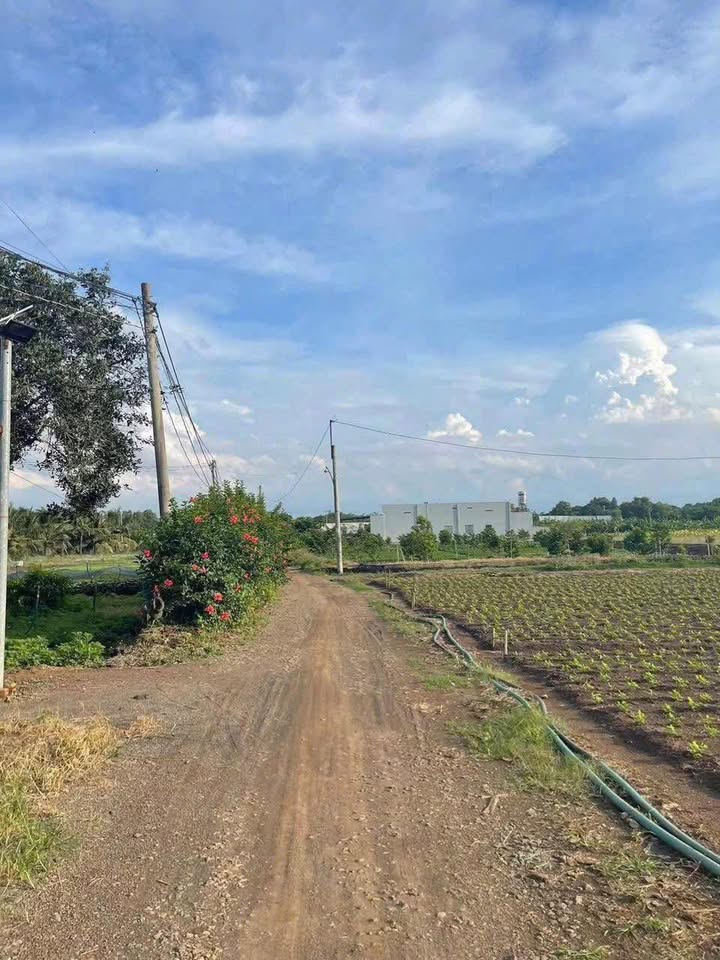 Đất nền 1 sào tại Gia Kiệm, Thống Nhất - Giá chỉ 690 triệu - Cơ hội đầu tư tuyệt vời!